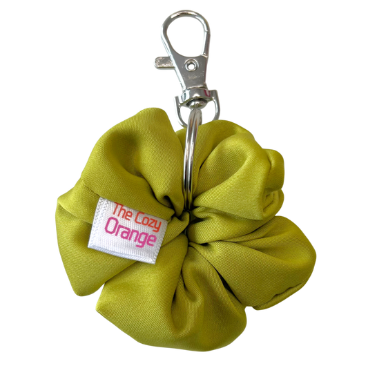 Pistachio Key Chain